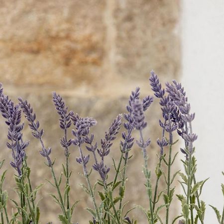 Aparrtment Terra- Combine Beach&Old Town Apartment Split Bagian luar foto